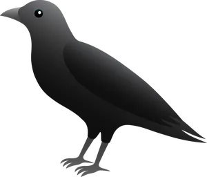 Sleek Black Crow Illustration PNG image