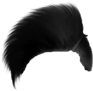 Sleek Black Hairstyle Silhouette