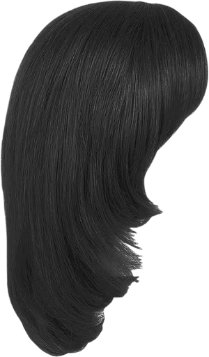 Sleek Black Hairstyle Silhouette
