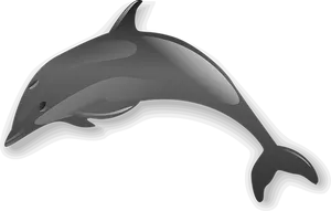 Sleek Gray Dolphin Graphic