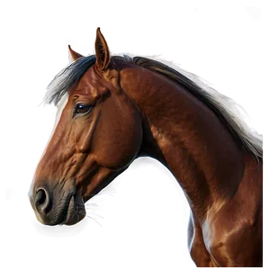 Sleek Horse Head Curvature PNG 06122024