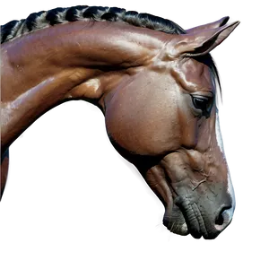 Sleek Horse Head Curvature PNG Hrn PNG
