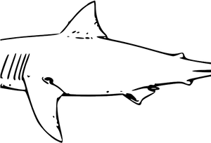 Sleek Shark Silhouette