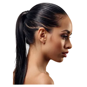Sleek Wet Look Ponytail PNG Fnd PNG