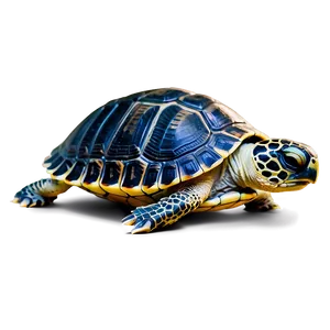 Sleeping Baby Turtle Png 36 PNG image