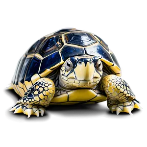 Sleeping Baby Turtle PNG Hvp