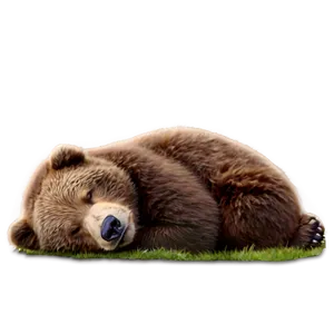 Sleeping Bear PNG 05032024