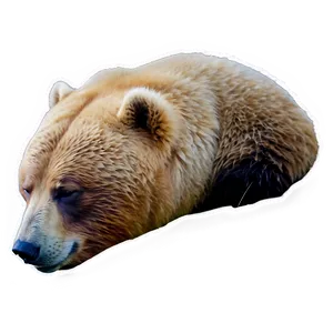 Sleeping Bear Png 27 PNG image