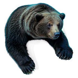 Sleeping Bear PNG Hkq