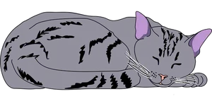 Sleeping Black Cat Illustration