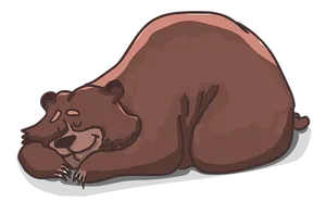 Sleeping Brown Bear Illustration PNG image