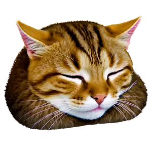 Sleeping Cat Face PNG Psp