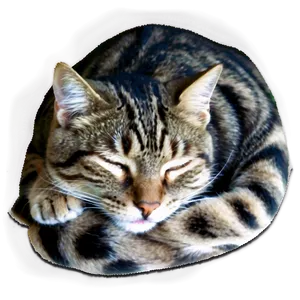 Sleeping Cat Png 36 PNG image