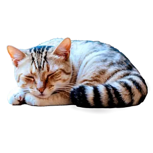 Sleeping Cat Png 39 PNG image