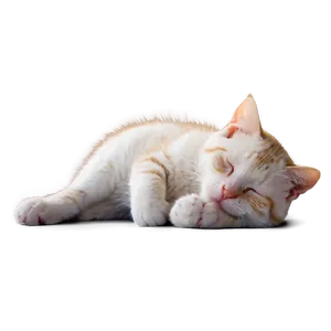 Sleeping Cat Png 46 PNG image