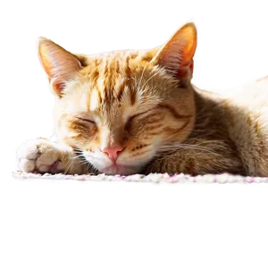 Sleeping Cat Transparent 05252024 PNG image