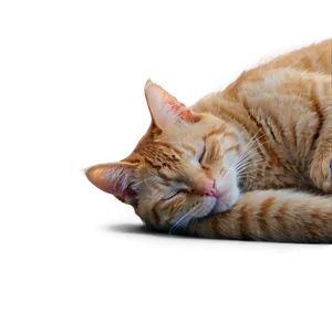 Sleeping Cat Transparent Kpe53 PNG image