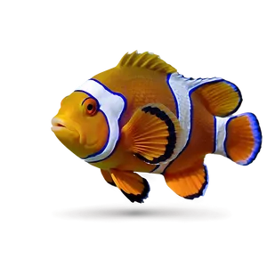 Sleeping Clownfish Png Evf PNG image