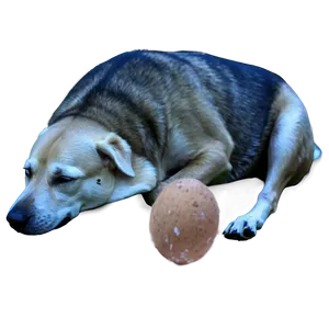 Sleeping Dogs PNG Cqv