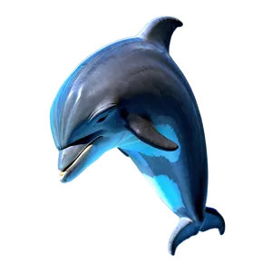 Sleeping Dolphin Png Lgy PNG image