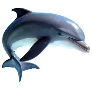 Sleeping Dolphin Png Mep PNG image