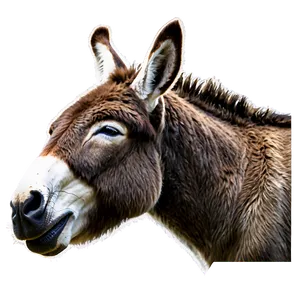 Sleeping Donkey PNG Qvh95