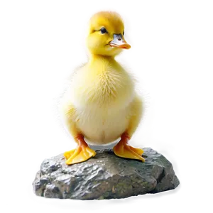 Sleeping Duckling Png 05232024 PNG image