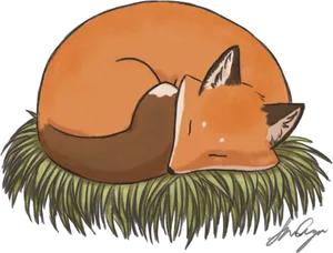 Sleeping Fox Illustration PNG image