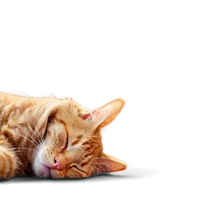 Sleeping Ginger Cat PNG 05232024