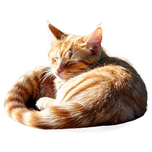 Sleeping Ginger Cat Png 05232024 PNG image