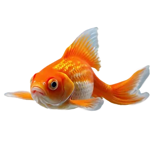 Sleeping Goldfish Png Mwc19 PNG image