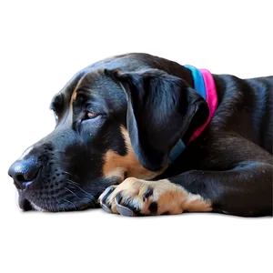 Sleeping Great Dane PNG 06212024