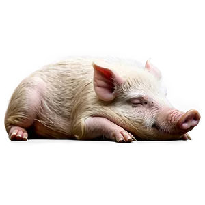 Sleeping Hog Png 79 PNG image