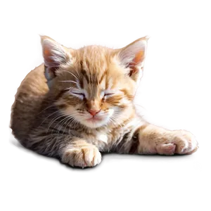 Sleeping Kitten Png 13 PNG image