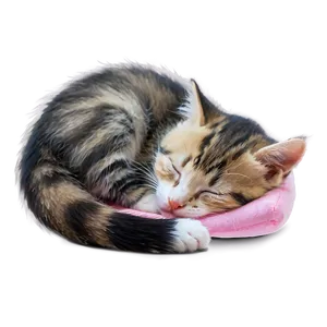 Sleeping Kitten PNG Fjf