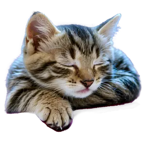 Sleeping Kitten PNG Nvv