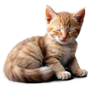 Sleeping Kitten Png Xno PNG image