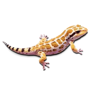 Sleeping Leopard Gecko Png 06202024 PNG image