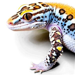 Sleeping Leopard Gecko PNG 06202024