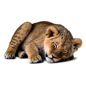 Sleeping Lion Cub Png 05232024 PNG image