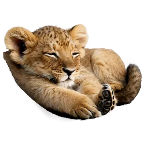 Sleeping Lion Cub Png 83 PNG image