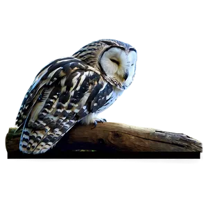 Sleeping Owl Png Keb PNG image
