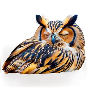 Sleeping Owl Png Kxk PNG image