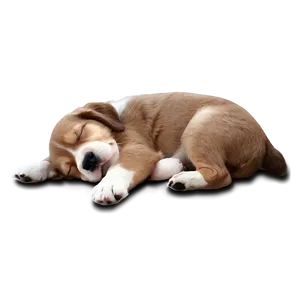 Sleeping Puppy Png 05232024 PNG image