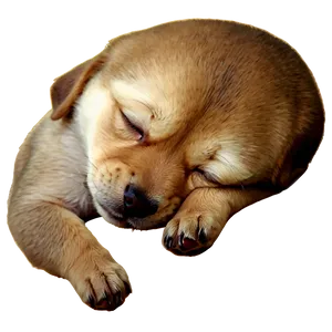 Sleeping Puppy Png 37 PNG image