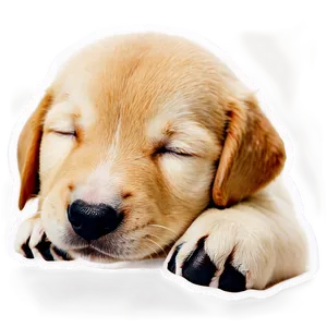 Sleeping Puppy PNG 8