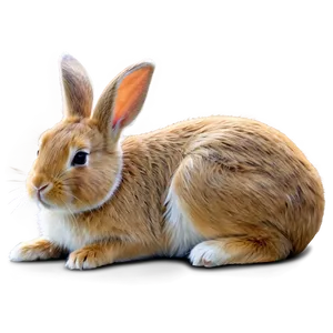 Sleeping Rabbit PNG 80