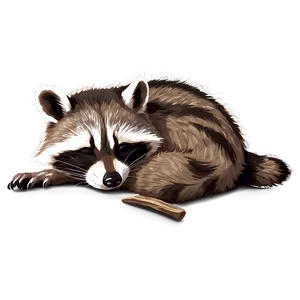 Sleeping Raccoon Cute PNG 05232024