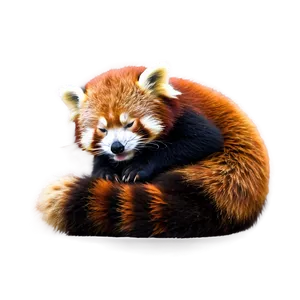 Sleeping Red Panda Png Mkl35 PNG image