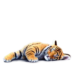 Sleeping Tiger Cub Png 05232024 PNG image